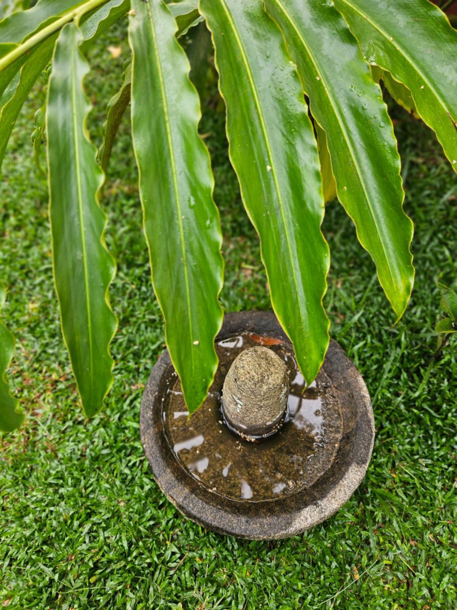 Villa Mia Mararikulam Ngoại thất bức ảnh