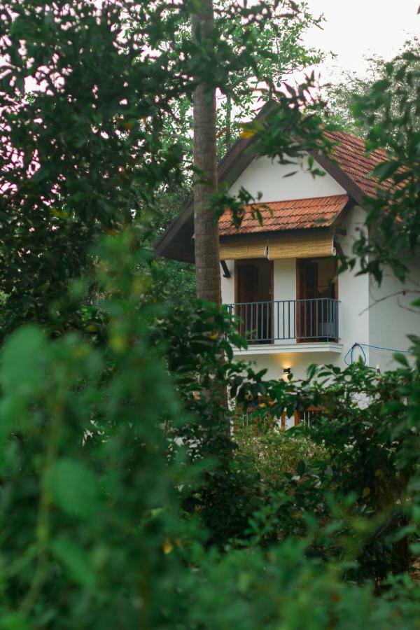 Villa Mia Mararikulam Ngoại thất bức ảnh